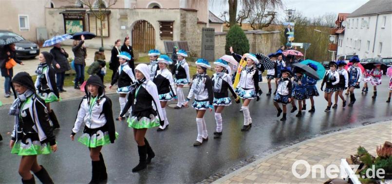 Bei leichtem Nieselregen macht so ein Faschingszug den Gardemädchen weniger Spaß. Bild: jml