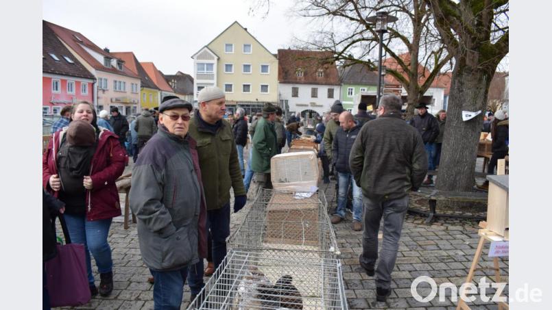 So war man es von früher gewohnt. Dicht drängten sich die Besucher durch die Reihen der Käfige. Bild: bnr