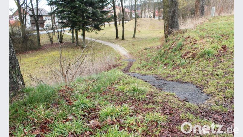 Der Weg, der quer durch den Bärnauer Stadtpark führt, ist bisher nur zur Hälfte in Stand gesetzt. Im Frühjahr sollen das zweite Wegstück modernisiert und der steile Hang ausgemerzt werden. Bild: sfo