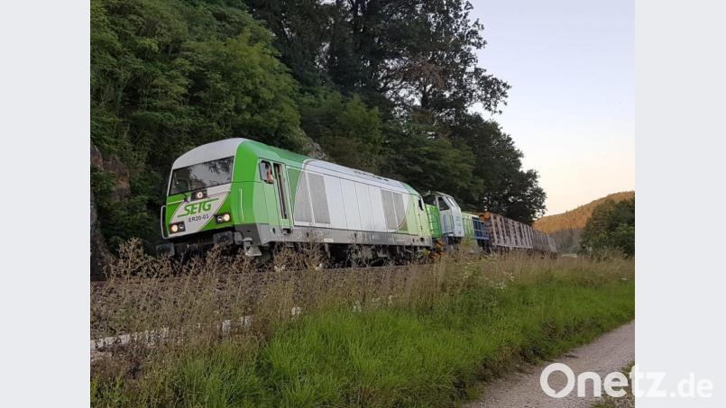 Der Güterzug rollte kurz hinter Nabburg in der Gemeinde Stulln im Landkreis Schwandorf aus Bild: Josef Schießl