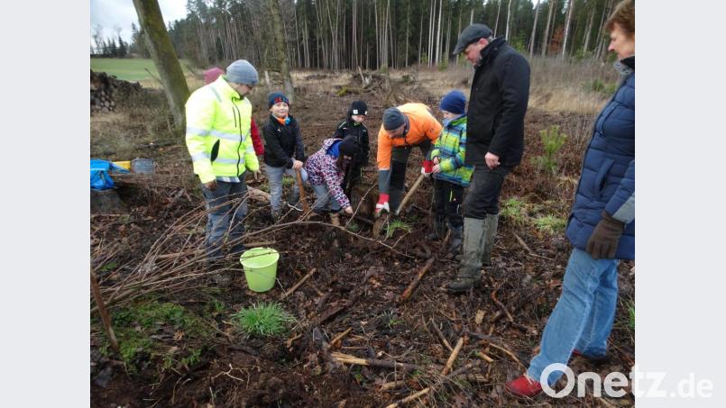Jeder der Zweitklässler pflanzt seinen eigenen Baum unter fachkundiger Anleitung von Stefan Schertl (links), BBV-Obmann Peter Gradl (orange Jacke) und Forstwirt Uwe Gmach (Zweiter von rechts). Bild: ct