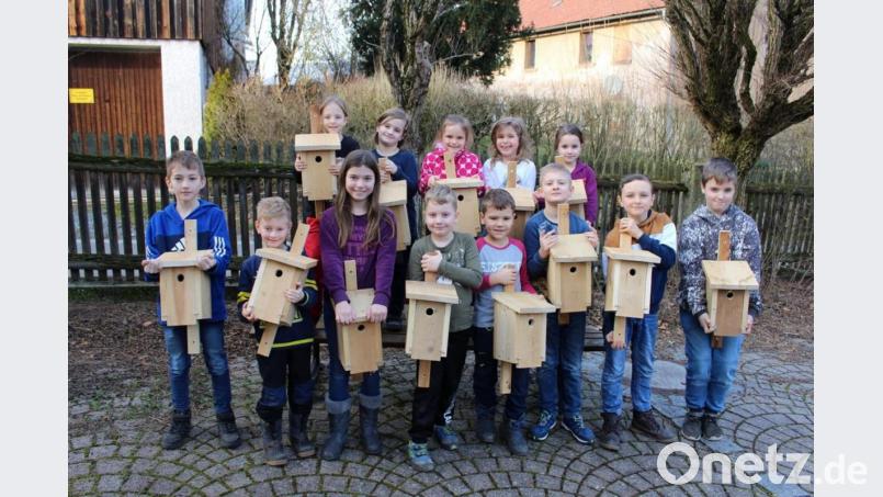 Stolz präsentieren die Jungen und Mädchen der „Spatzen“-Grundschülergruppe in der Trabitzer LBV-Sektion ihre selbst gebauten Vogelhäuschen. Bild: bjp