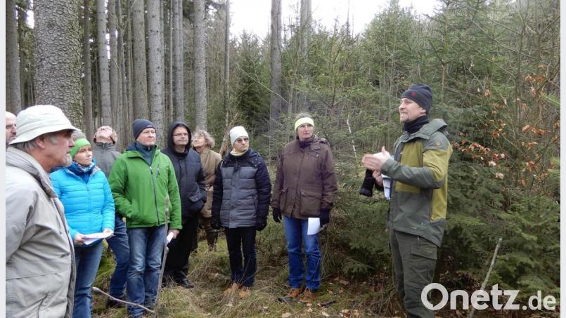 Eckhard Deutschländer erklärt den Besuchern die Eigenschaften und Nutzungsmöglichkeiten von Esskastanie und Douglasie. Bild: Erhard Siller/exb