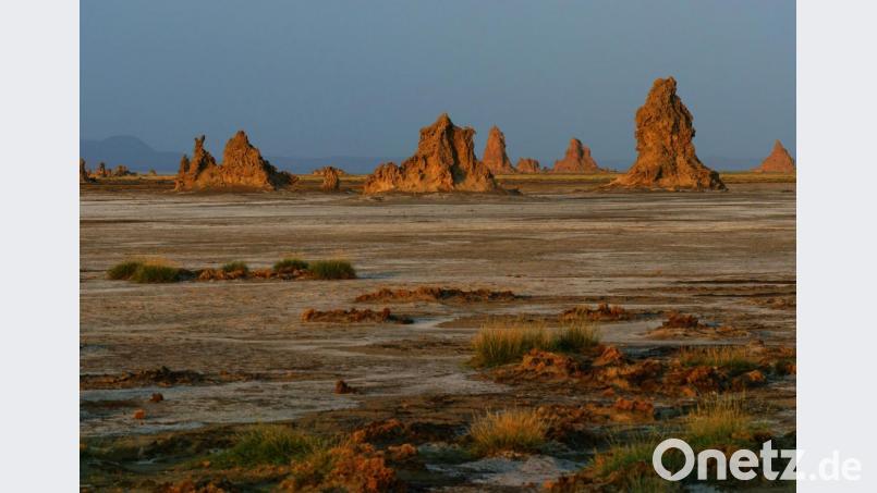 Faszinierend für die Reisenden waren die Kalksteinkegel im Uferbereich des Abbe-Sees in der Danakil-Senke. Bild: exb/Johann Albrecht
