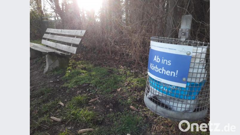 Auch an beliebten Spazierwegen wird mit flotten Sprüchen motiviert. Bild: bl