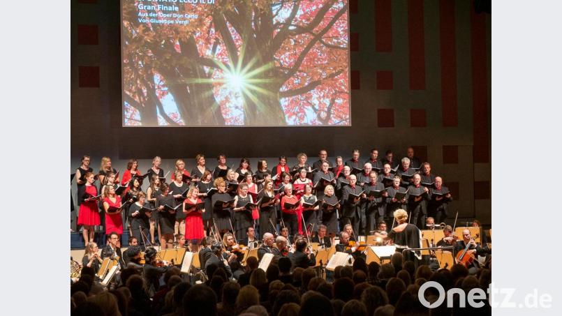 Begehrt sind die Auftritte von &quot;SingingWitt&quot;. Deshalb wird es ein Zusatzkonzert des Chors mit den Hofer Symphonikern geben. Bild: exb