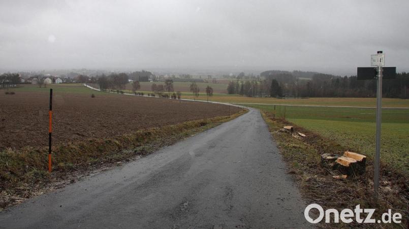 Die Baumfällarbeiten am Weg zum Forsthaus sind bereits abgeschlossen. Die Straßenbauarbeiten zwischen der sogenannten Salzhalle und dem Steinwald-Wanderparkplatz werden zeitnah aufgenommen. Bild: wro
