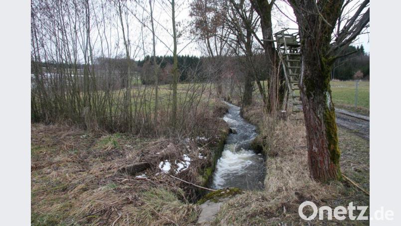 Die landespflegerischen Ausgleichsmaßnahmen im Zuge des Kernwegenetzverfahrens sehen auch eine Neugestaltung des Wiesaubach-Ufers vor. Das Foto zeigt den zugänglichen Bachabschnitt zwischen Fuchsmühl und der Bächermühle. Bild: wro