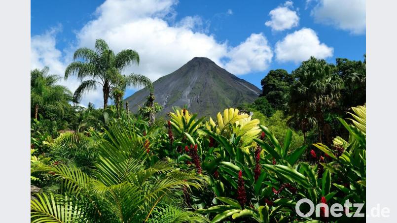 Eine atemberaubende Vegetation erwartet die Urlauber auf Hawaii. Bild: exb