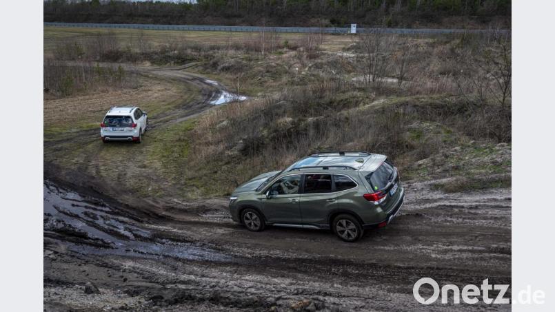 Test des neuen Subaru Forester am Rande des Lausitzringes Bild: Subaru