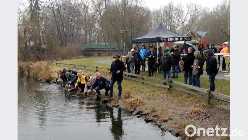 Bürgermeister Edgar Knobloch, CSU-Ortsvorsitzender Gerald Morgenstern, viele Stadtratskandidaten und Bürger waschen ihre Geldbörsen im Grafenwöhrer Stadtweiher aus. Bild: sne