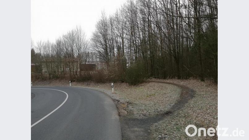 Mehrere Maßnahmen sollen im Zuge der einfachen Dorferneuerung in Pleußen und Steinmühle umgesetzt werden. Unter anderem soll durch einen Wegeausbau die Anbindung des SV-Sportheims (hinten links) verbessert werden. Bild: lnz