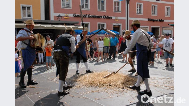 Viel beachtet und mit ebenso mit viel Applaus bedacht wurde der Auftritt der Drischldrescher beim Marktfest. Bild: pop