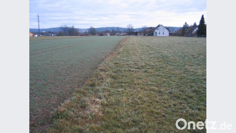 Die ersten Bauparzellen für den zweiten Bauabschnitt sind bereits vergeben. Bild: bkr