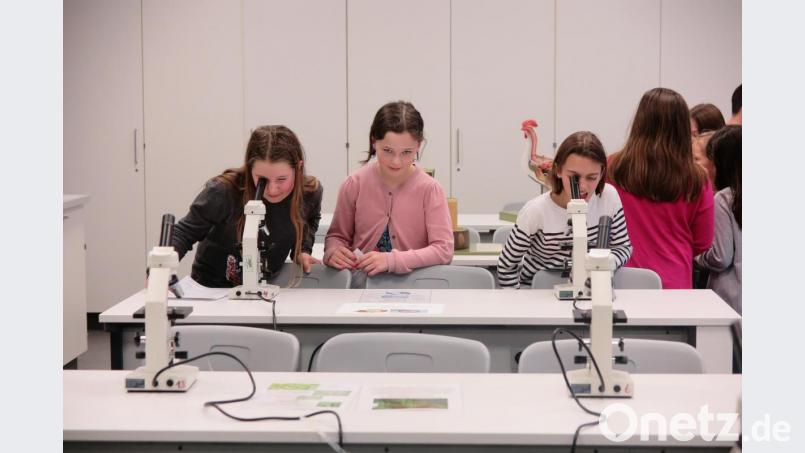 Sehr spannend war für manche Schüler der Blick in ein Mikroskop. Bild: jzk