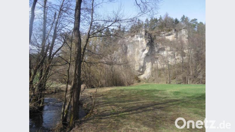 Gegenüber der Flembachhütte beeindruckt der mächtige Schelcherfels, der als Nistplatz für Turmfalken dient. Archivbild: Josef Schmaußer
