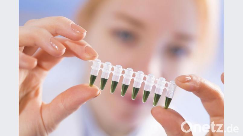 Das nennt man wohl Standortvorteil, obwohl der korrekte Name Polymerase-Kettenreaktion (PCR) lautet. Auf dieses Verfahren zum Erregernachweis kann Synlab im Weidener Labor bauen. Bild: Synlab/Science Photo Library