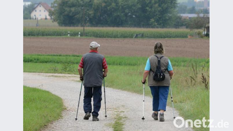 Nach wie vor liegt das Wandern im Trend. Im DVV-Bezirksverband sind nicht nur bei Wandertagen viele Teilnehmer unterwegs, sondern auch auf den neun „permanenten Wanderwegen“. Archivbild: Petra Hartl