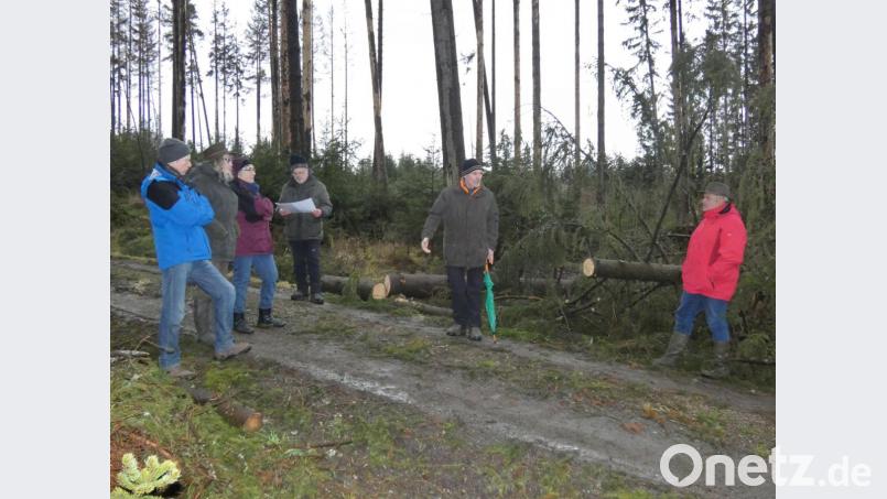 Walter Ehlich (Bildmitte) klärte die Teilnehmer unter anderem über die Ursachen des Borkenkäfer-Befalls auf. Für die Begehung im Lengenfelder Wald war sogar ein Paar aus Berlin angereist. Bild: fua