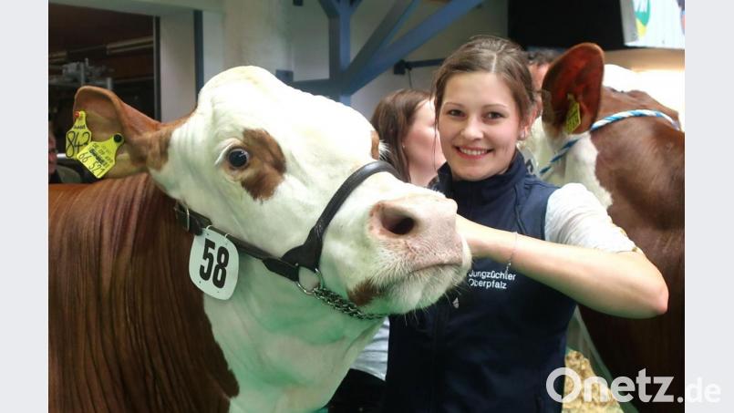 Eva-Maria Bäuml aus Gögglbach erzielte mit ihrer Kuh &quot;Sunset&quot; bei der Fleckviehschau in Schwandorf einen Achtungserfolg und wurde dafür geehrt. Bild: Hirsch
