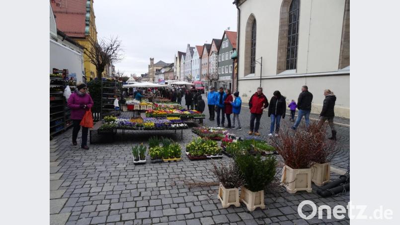 Frühlingsmarkt Bild: ak