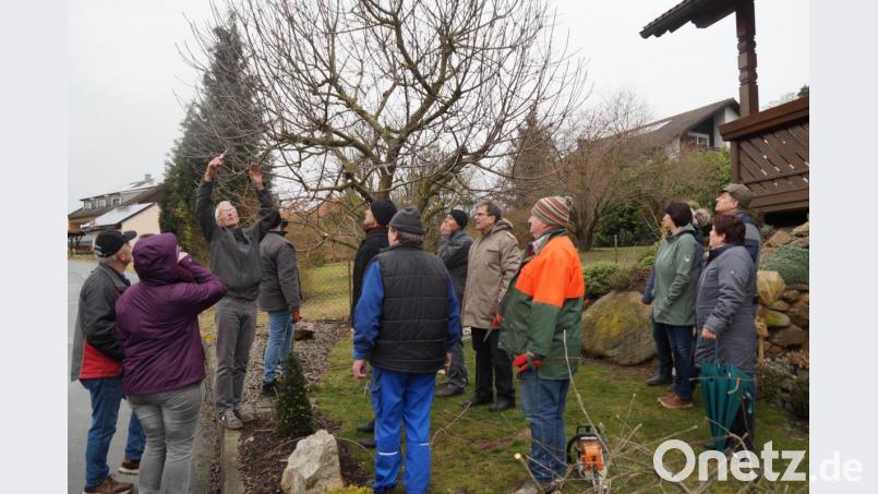 Die Teilnehmer des Obstbaumschnittkurses mit Leiter Audi Lurbiecki (links am Baum). Bild: rkp