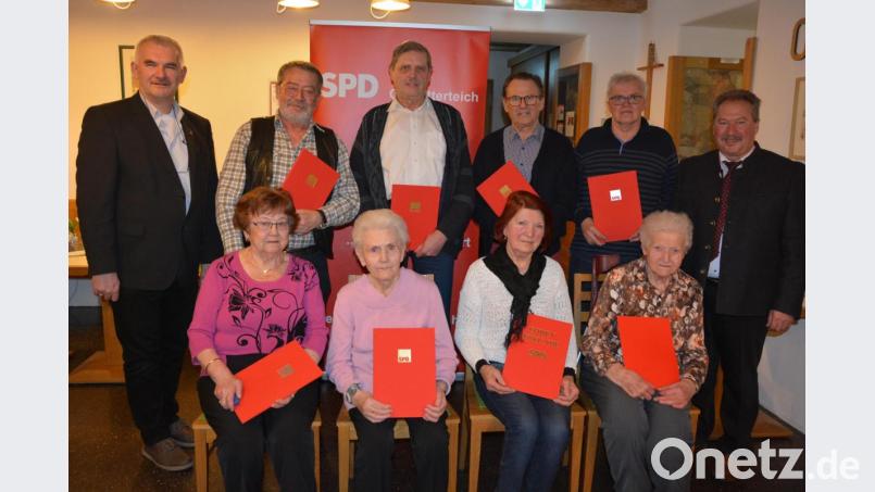 Langjährige Mitglieder würdigte der SPD-Ortsverein Mitterteich bei einem Ehrenabend im Mehrgenerationenhaus. Im Bild (sitzend, von links) Anneliese Pelz, Anneliese Grillmeier, Mila Braun und Mathilde Stangl sowie (stehend, von links) stellvertretender SPD-Kreisvorsitzender Uli Roth, Erich Tilp, Hans Lugert, Alfred Gültner, Josef Lippert und Ortsvorsitzender Johann Brandl. Bild: jr