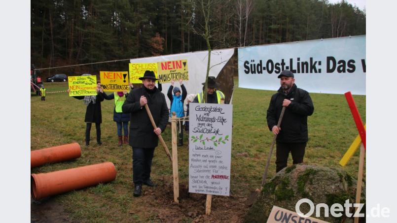Die Störnsteiner Eiche soll mit dem Widerstand wachsen: Das wünschen sich die Trassengegner (von links) (von links) Bürgermeister Markus Ludwig, BI-Vorsitzender Josef Langgärtner und Landwirt Hubert Meiler. Bild: jrh