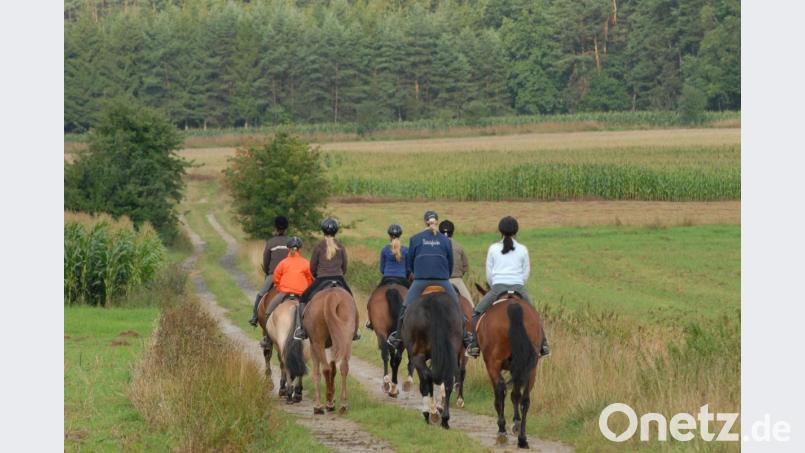 Ausreiten steht demnächst auch auf dem Stundenplan. Bild: Petra Hartl