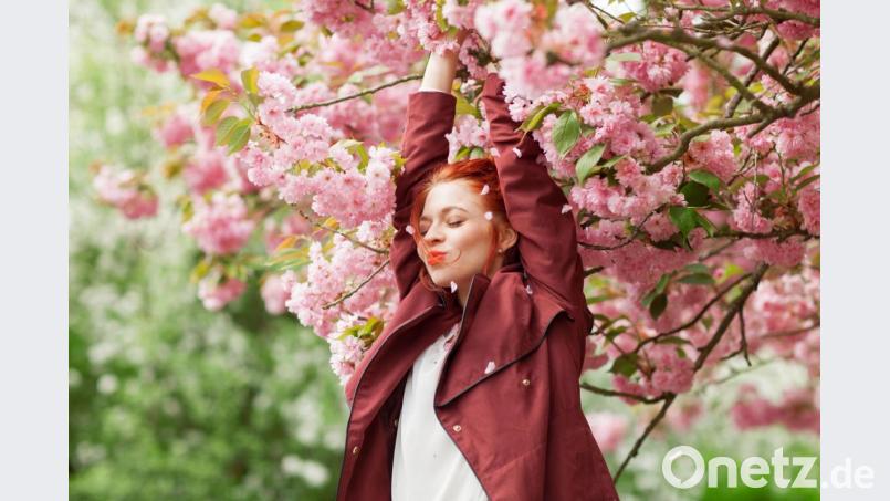 Im Frühling ist es einfach, glücklich zu sein. Dafür genügt oft schon der Blick auf die ersten Blüten im Park. Bild: Kanea – stock.adobe.com