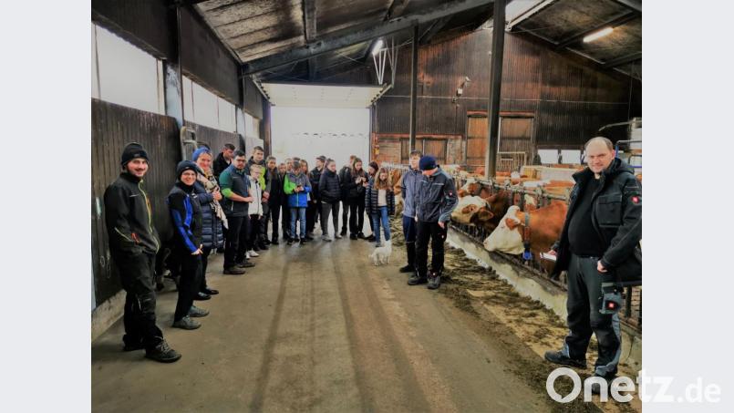 Die Schüleraus Vohenstrauß erkundeten den Kuhstall der Familie Kleber. Bild: gz