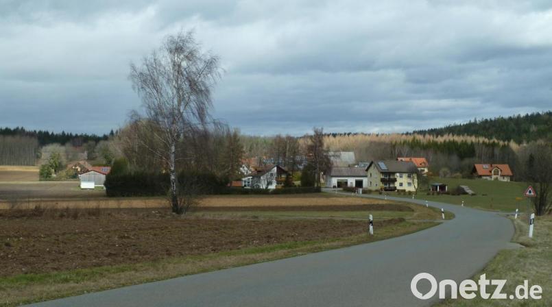 Das einzige Dorf im Stadtgebiet ohne Handyempfang: Der Ortsteil Pirk, und auch etliche angrenzende Fluren in der ehemaligen Gemeinde Langau, liegen noch immer im tiefsten Funkloch. Der Stadtrat will dies mit Hilfe des Bayerischen Mobilfunk-Förderprogramms ändern. Bild: Portner