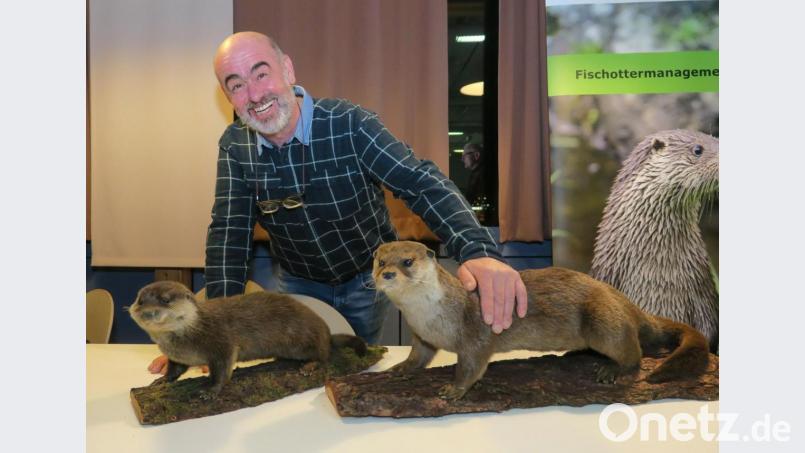 Fischotterberater Peter Ertl hatte für seinen Vortrag zwei präparierte Jungtiere mitgebracht. Bild: Hirsch