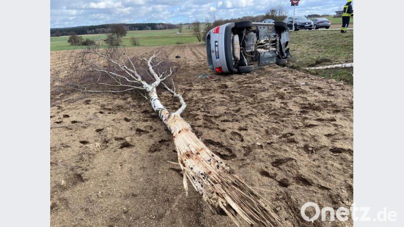 Beim Aufprall wurde die Birke entwurzelt. Der Fahrer wurde eingeklemmt, kam aber trotzdem mit leichten Verletzungen davon. Bild: Beer