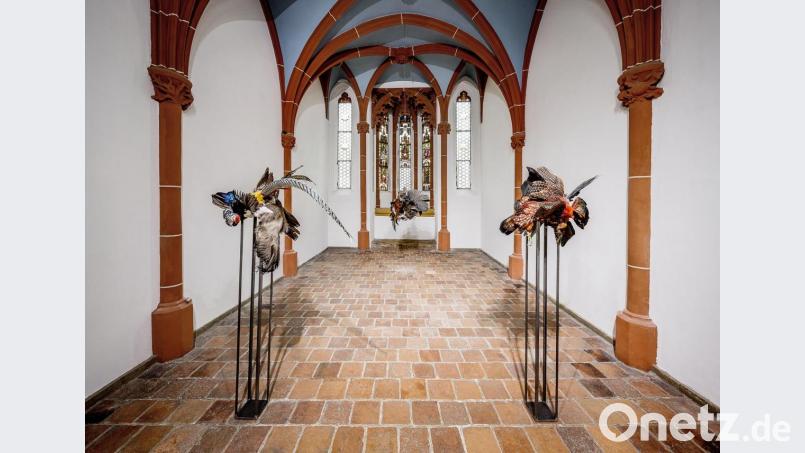 Die Mischung macht es: Die Künstlerinnen Noa Pane und Barbara Sophie Höcherl ergänzen einander im Luftmuseum in Amberg Bild: Marcus Rebmann