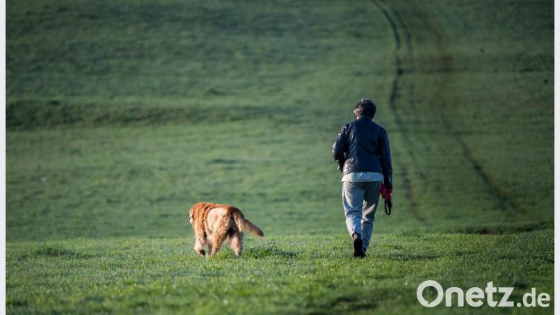 Symbolbild Bild: Sebastian Gollnow/dpa