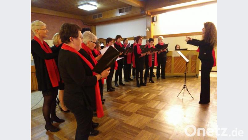 Die Singgemeinschaft St. Jakobus gestaltet die Pfarrversammlung der Pfarreiengemeinschaft Hahnbach-Gebenbach-Ursulapoppenricht gesanglich. Bild: mma