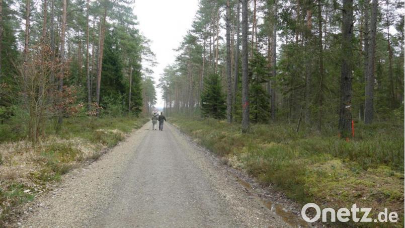 Die Vorbereitungen für die heute beginnende Waldpflege im Bereich der Wohnsiedlung „Bildbaum“ laufen schon länger. Waldbesuche sind in Teilbereichen weiterhin möglich, nur die betroffenen Waldwege werden abgesperrt. Bild: exb/Bayerische Staatsforsten