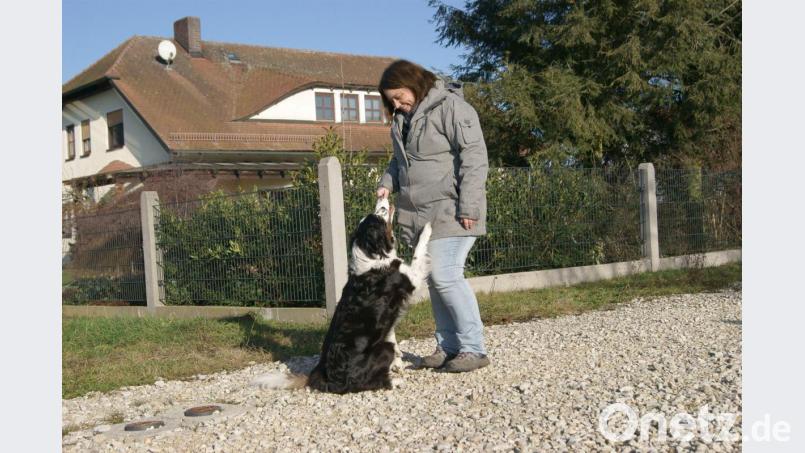 Für eine gute Beziehung zwischen Mensch und Hund braucht es Zeit, Liebe und Verstand. Alexandra Weidisch weiß, wie das funktioniert. Bild:  privat