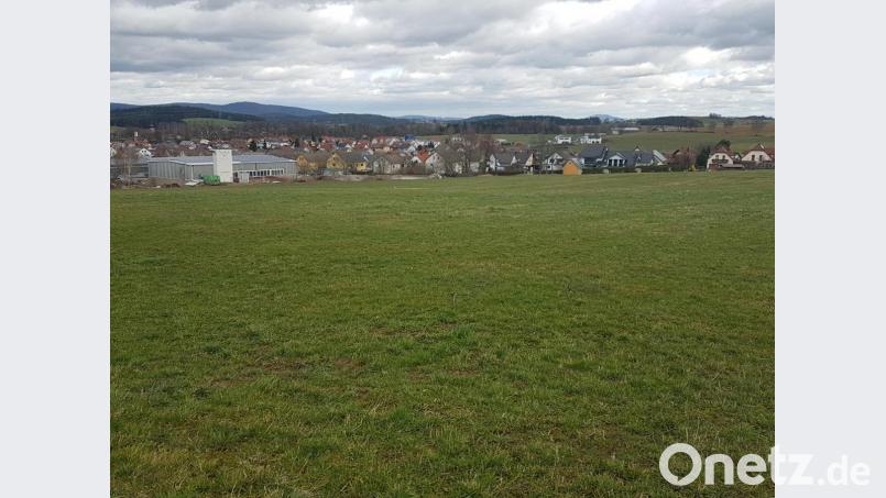Auf diesem drei Hektar großen Gelände südlich des Steinwerkes Rappl in Moosbach soll eine Photovoltaik-Anlage mit 3 MWp Leistung entstehen. Bild: gi
