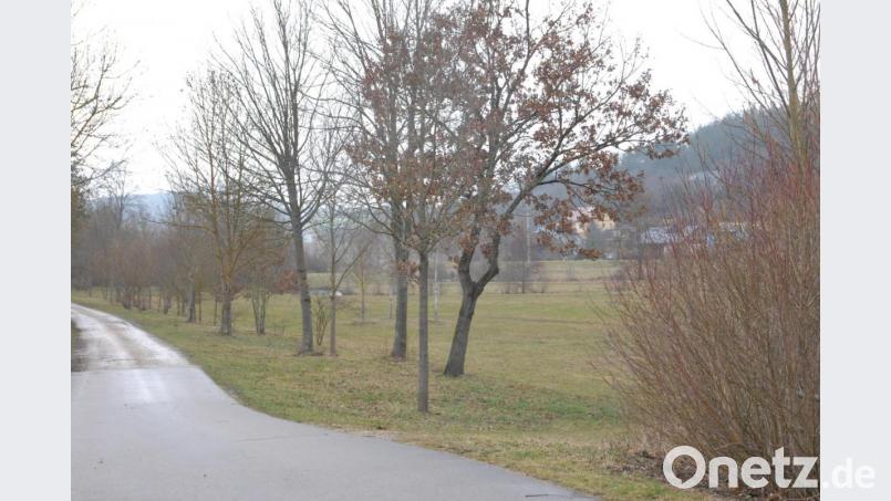 Entlang des Lauterachweges sollen die &quot;Spuren gegen das Vergessen&quot; gesetzt werden. Bild: pop