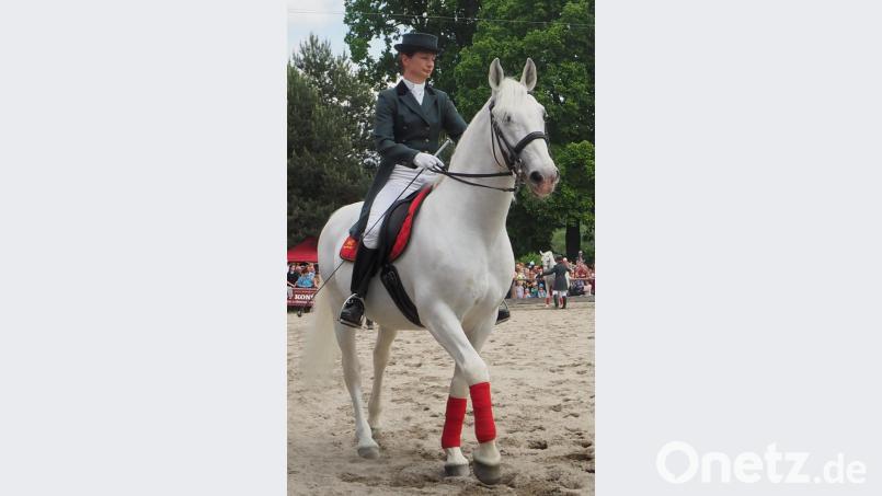 Die Lipizzaner standen vor 75 Jahren bei einer Befreiungsaktion durch die 2. amerikanische Kavallerie im Fokus. Bild: gz (Archiv)