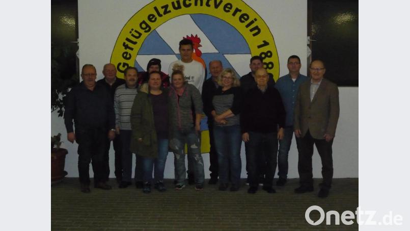 Der Geflügelzuchtverein 1880 Kümmersbruck-Amberg wählt einen neuen Vorstand (hinten, von links): Gerhard Desat, Ramona Brandl, Simon Bladek, Johann Ferber, Josef Weigert und Stephan Meiler; vorn (von links): Josef Schlegl,. Franz Hierl. Melanie Kupezki, Melanie Bottner, Christa Reis, Johann Scherer und Dritter Bürgermeister Hubert Blödt Bild: Geflügelzuchtverein