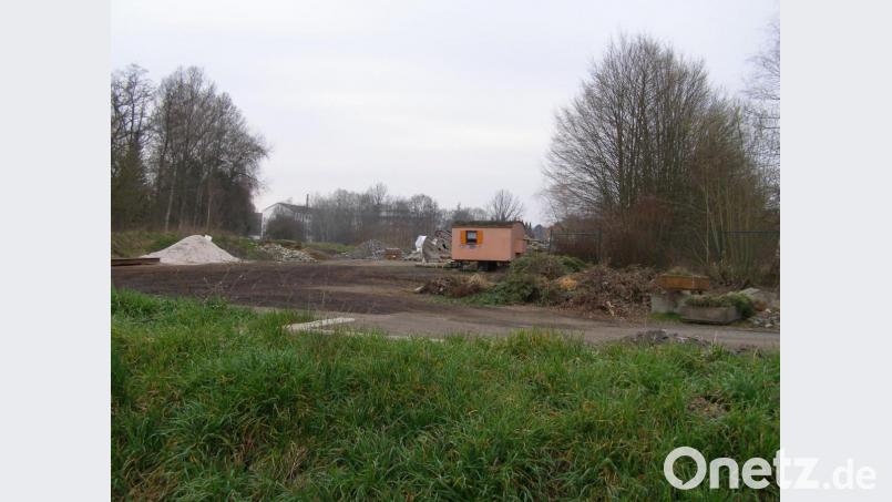 Bargeldlos abgewickelt werden sollte künftig die Zahlung der Gebühr für die Anlieferung von Grünabfällen, so ein Vorschlag im Stadtrat. Bild: pz