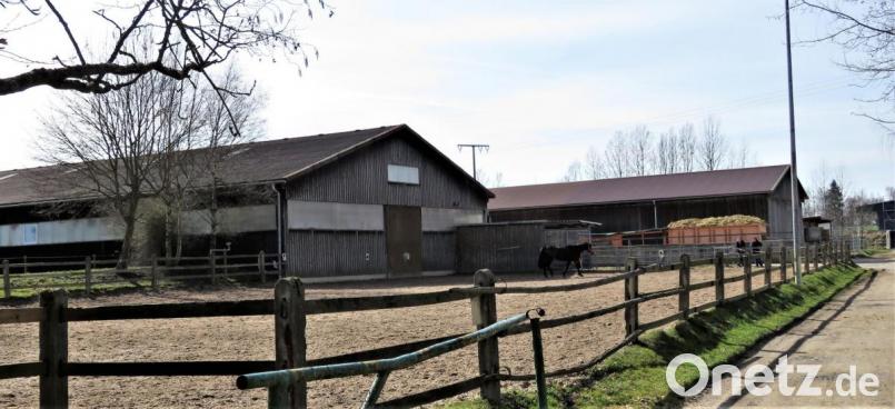 Die große Reitanlage muss auch nach Einstellung aller Freizeitaktivitäten weiterhin unterhalten werden.. Bild: ubb