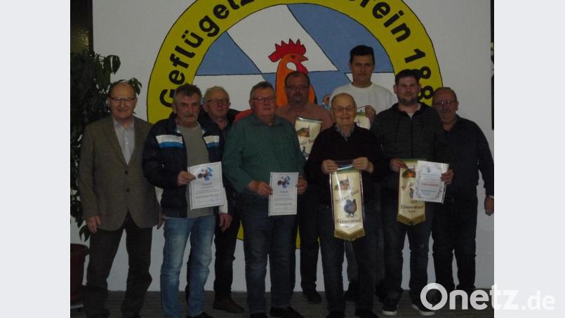 Die Geflügelzüchter ehren langjährige Mitglieder (von links): Bürgermeister Hubert Blödt, Michael Wiesgickl, Josef Dürr, Richard Jobst, Anton Hottner, Johann Scherer, Simon Bladek, Josef Weigert und Josef Schlegl. Bild: Geflügelzuchtverein