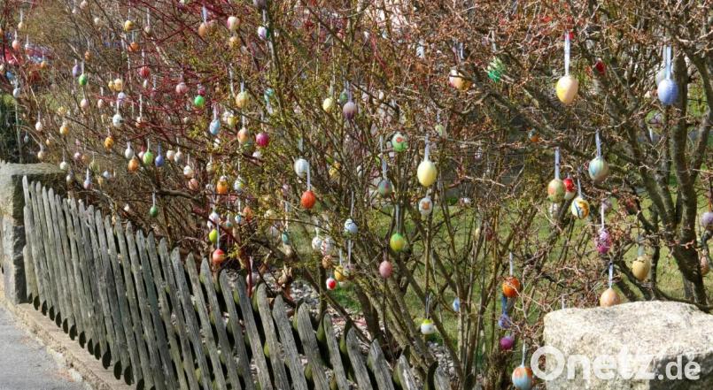 Nach dem Lichterglanz bei Thomas Egner bereitet aktuell eine "Eier-Front" beim Nachbaranwesen der Familie Vollath viel Freude. Entlang des Gehsteigs an der Birkenstraße hängen 400 echte handbemalene Eier. Bild: nm