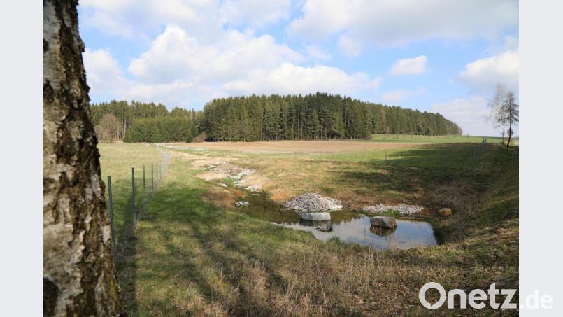 Viele Verkehrsteilnehmer rätselten wegen dieses Nutureingriffs in der Nähe von Lampenricht. Das Grundstück dient als Ausgleichsfläche für eine Streinbrucherweiterung und hilft der Natur. Bild: akp