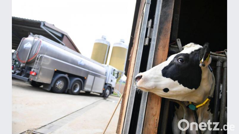 Die Milchwagenfahrer dürfen weiterhin die Milch abholen. Aber es gelten strenge Regeln. Bild: Arne Dedert