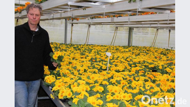Gartenbau-Ingenieur Hans-Joachim Schinner ist tief betroffen. Wie es mit seinem Betrieb, den er vor 25 Jahren von seinem Vater übernommen hat, weitergeht, ist nur schwer abzuschätzen. Bild: kro